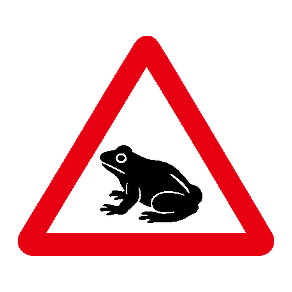 Anfíbios